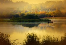 CAT TIEN NATIONAL PARK DAILY TOUR AND 1 DAY 1 NIGHT, 2 DYAS 1 NIGHT TOUR